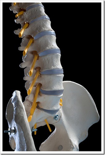 Herniated Disc and Back Pain New Fairfield CT